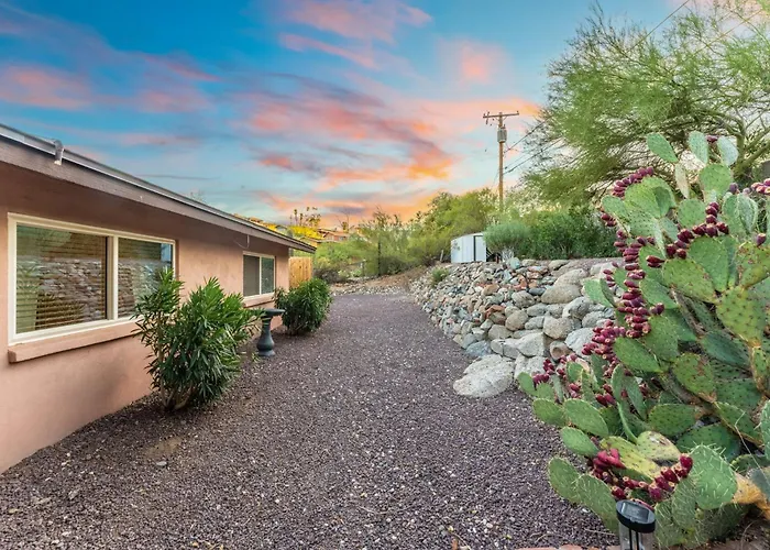 East Base Near Zoo And Desert Garden Patio *